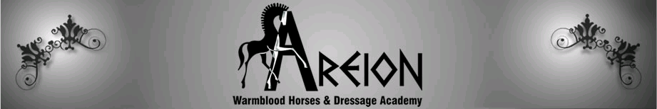 Areion Warmblood Horses & Dressage Academy